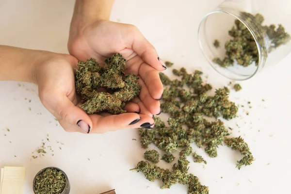  Canabbis de uso adulto pasa su primera vuelta en el Senado y está a punto de convertirse en ley